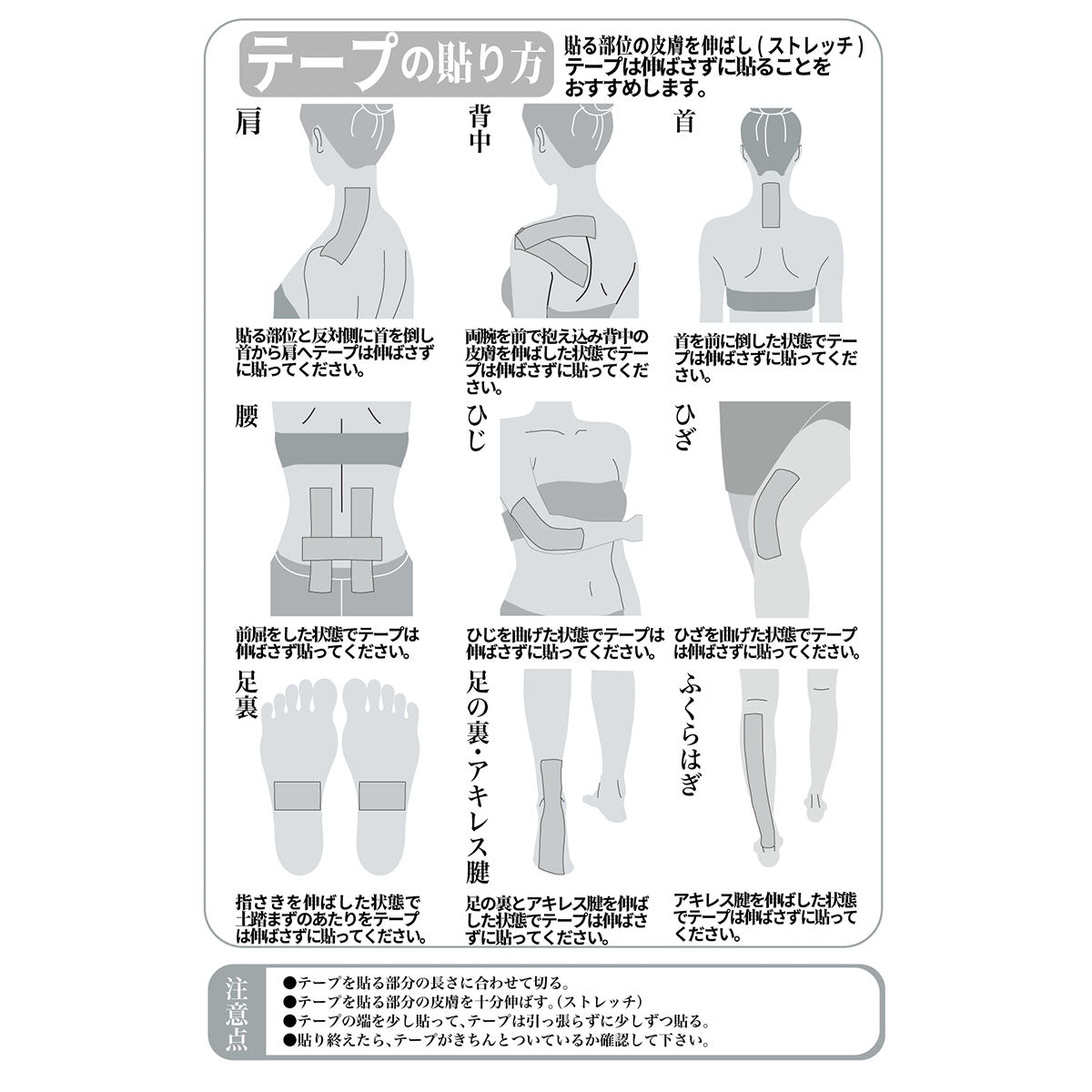 プラズマ電子テープ 5cm×5ｍ　10巻
